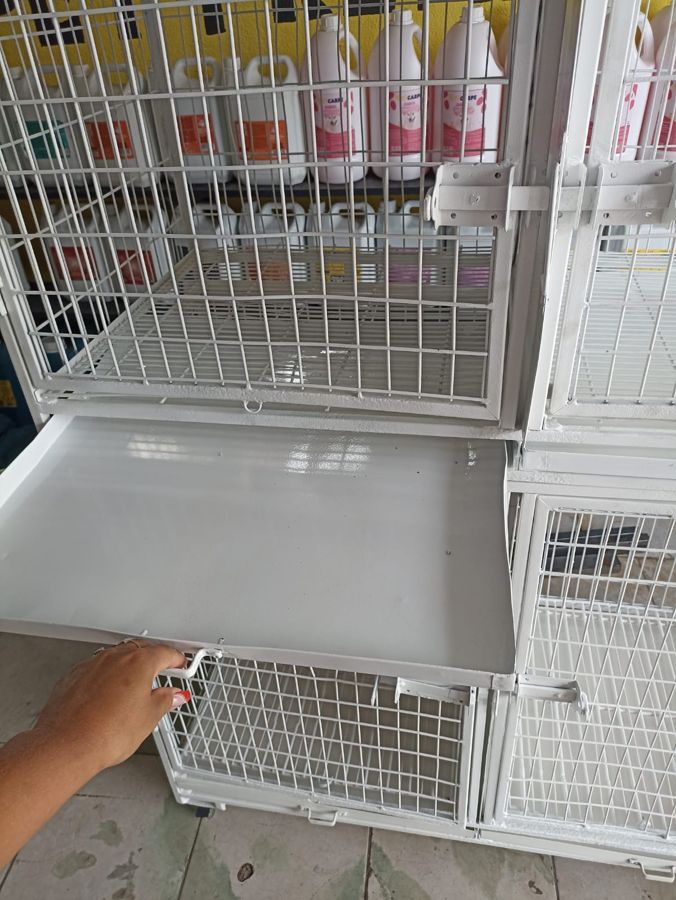Canil reformado pela Pet Premium